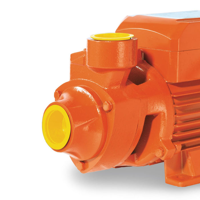 Bomba Periférica de 0.5HP - Evans(BP1ME050)